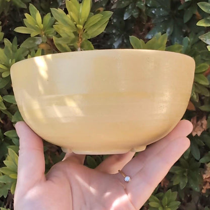 Handmade bowl with hand-painted lotad in kawaii style
